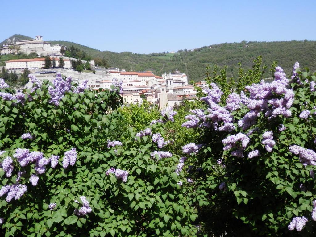 Hotel Villa Stella Cascia Bagian luar foto